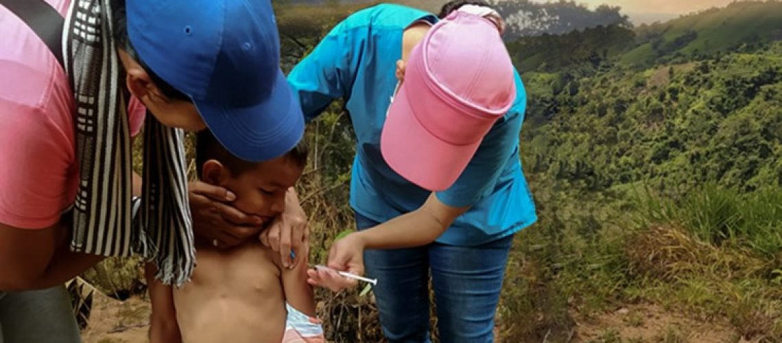 Ante el aumento de casos de fiebre amarilla, MinSalud refuerza acciones: quienes no se vacunan están en alto riesgo