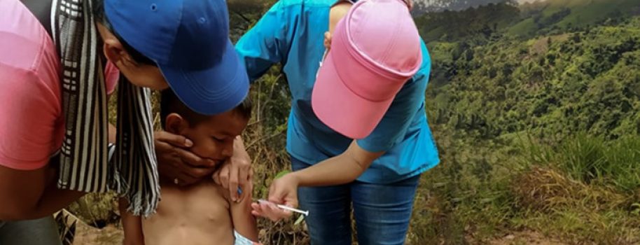 Ante el aumento de casos de fiebre amarilla, MinSalud refuerza acciones: quienes no se vacunan están en alto riesgo