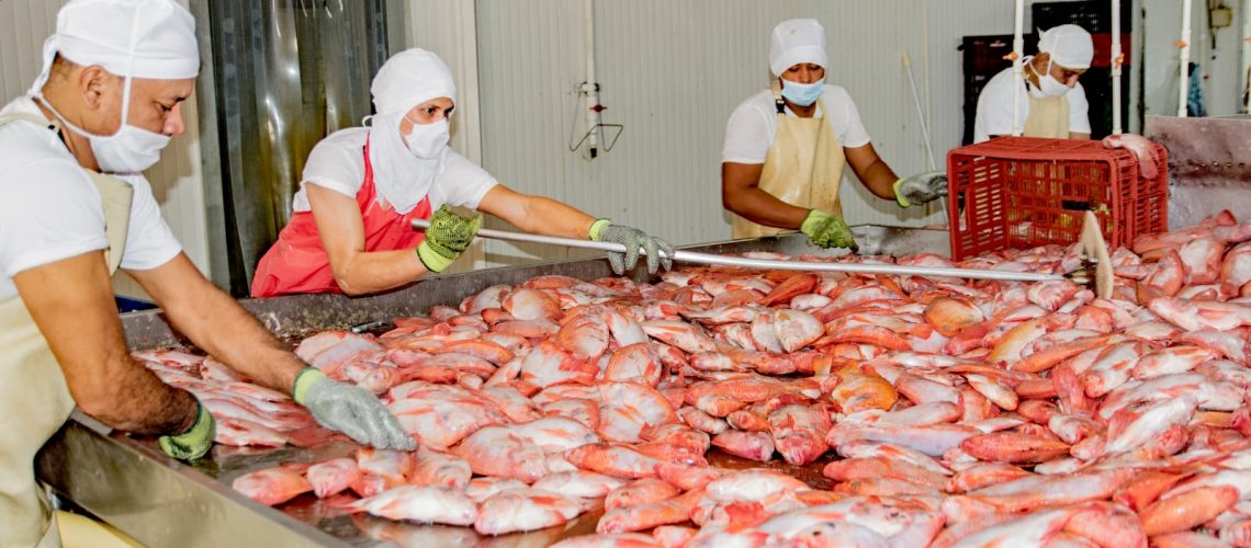 El Huila se consolida como el primer productor piscícola del país