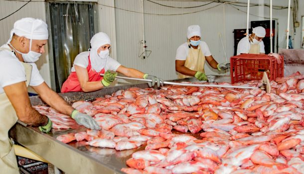El Huila se consolida como el primer productor piscícola del país