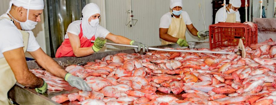 El Huila se consolida como el primer productor piscícola del país