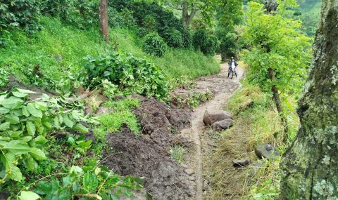 Gobernación monitorea emergencias por deslizamientos y lluvias en el sur del Huila