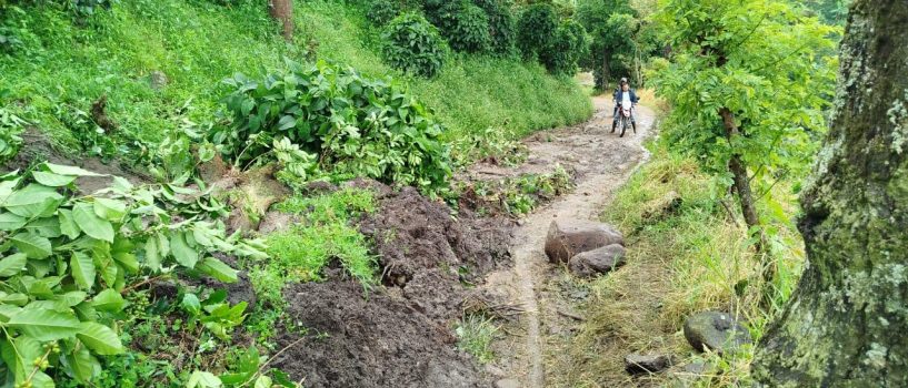 Gobernación monitorea emergencias por deslizamientos y lluvias en el sur del Huila