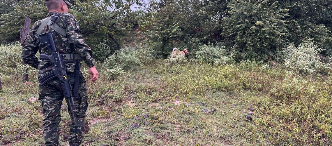Sok, el canino antiexplosivos que evitó atentados en Neiva