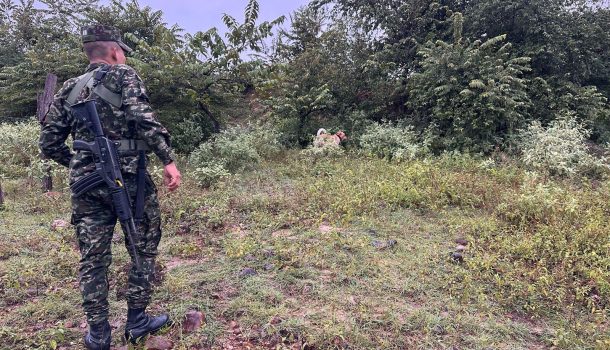 Sok, el canino antiexplosivos que evitó atentados en Neiva