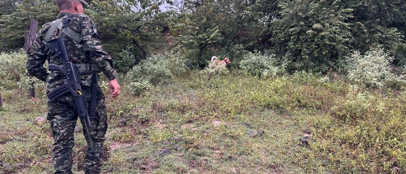 Sok, el canino antiexplosivos que evitó atentados en Neiva