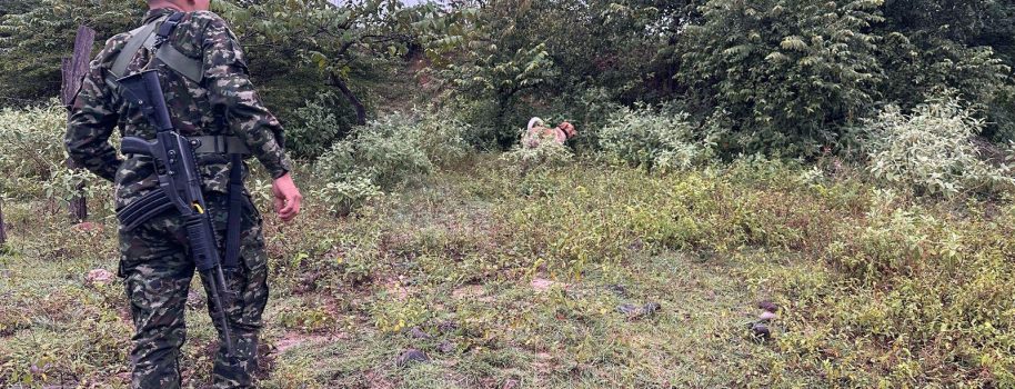 Sok, el canino antiexplosivos que evitó atentados en Neiva