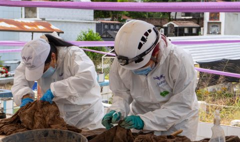 Cerca de 12 cuerpos que corresponderían a personas desaparecidas fueron recuperados en el Cementerio Central de Neiva