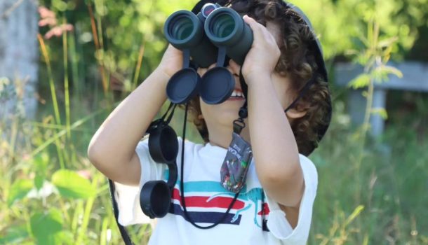 El Huila listo para pajarear en el Global Big Day 2025