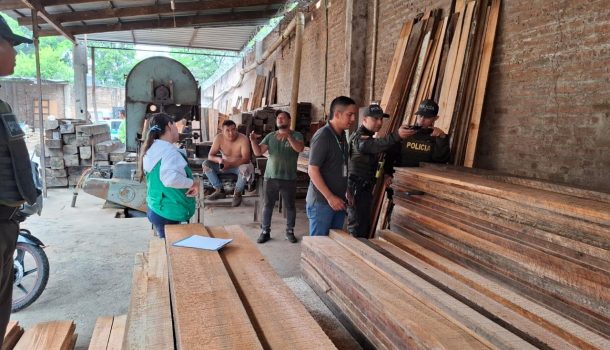 Empresas forestales a implementar el Libro de Operaciones Forestales en Línea