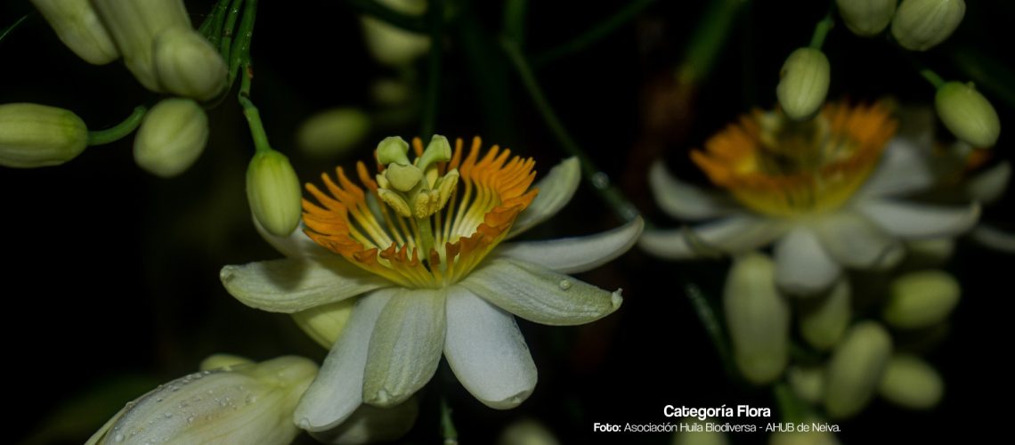 Listos los ganadores del concurso de fotografía ambiental 2025