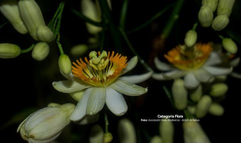 Listos los ganadores del concurso de fotografía ambiental 2025