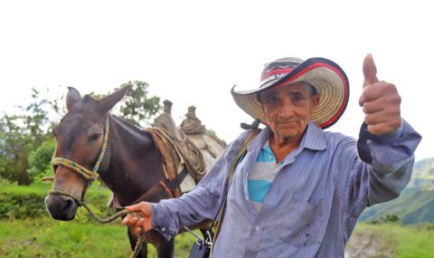 SENA Huila celebra el Día del Campesino con una gran jornada cultural, formativa y productiva en Palermo