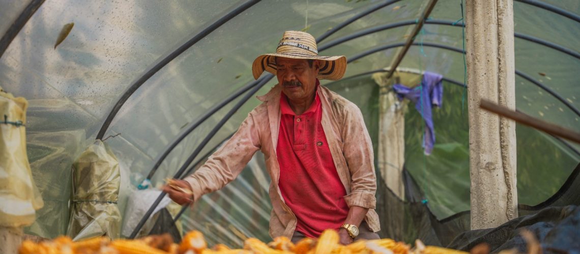 Sistemas productivos sostenibles, una apuesta por la conservación de áreas protegidas del Huila