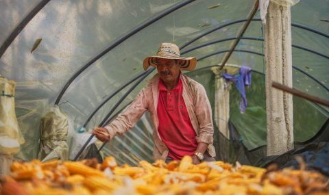 Sistemas productivos sostenibles, una apuesta por la conservación de áreas protegidas del Huila