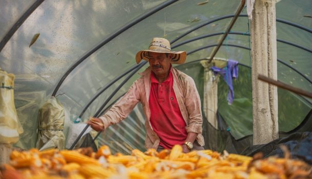 Sistemas productivos sostenibles, una apuesta por la conservación de áreas protegidas del Huila