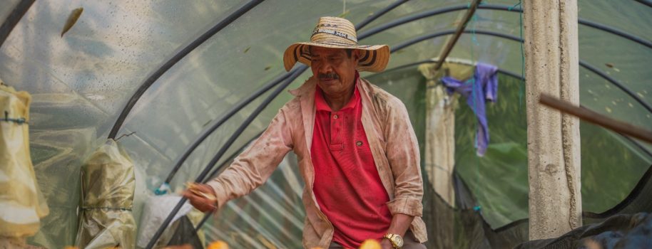 Sistemas productivos sostenibles, una apuesta por la conservación de áreas protegidas del Huila