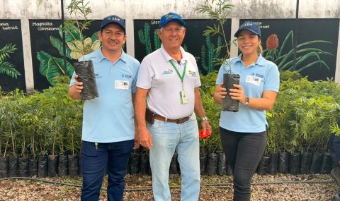 ESIP Compensa Más de 3.500 Plántulas a la CAM Huila, Reafirmando su Compromiso Ambiental