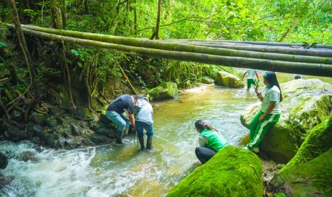 Estudiantes del Huila lideran el monitoreo del agua y la biodiversidad