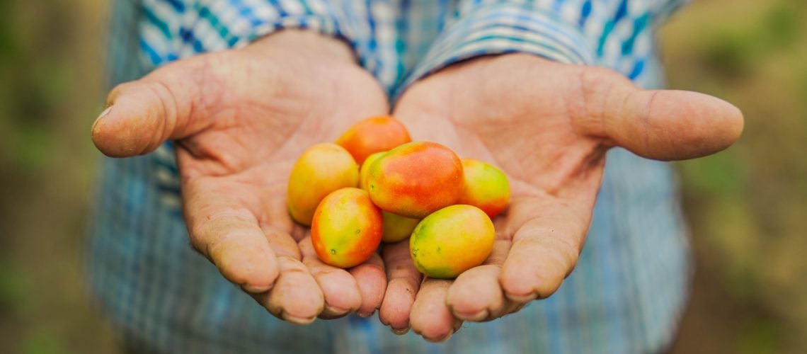 La Tatacoa es más que turismo, también se cultivan productos del campo de manera sostenible