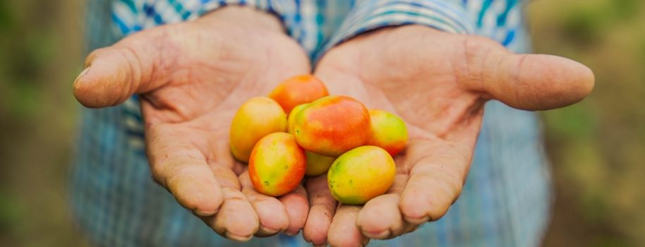 La Tatacoa es más que turismo, también se cultivan productos del campo de manera sostenible