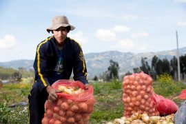Más de 13 millones de personas enfrentan inseguridad alimentaria: la UPRA lanza documental en el día de la lucha contra el hambre