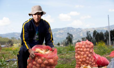 Más de 13 millones de personas enfrentan inseguridad alimentaria: la UPRA lanza documental en el día de la lucha contra el hambre