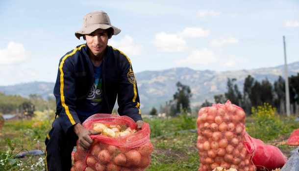 Más de 13 millones de personas enfrentan inseguridad alimentaria: la UPRA lanza documental en el día de la lucha contra el hambre