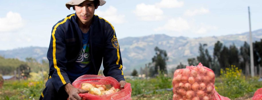 Más de 13 millones de personas enfrentan inseguridad alimentaria: la UPRA lanza documental en el día de la lucha contra el hambre