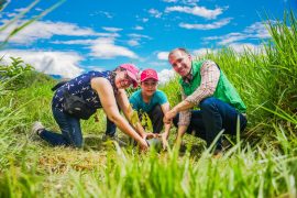 Familias huilenses impulsan la agricultura con enfoque ambiental