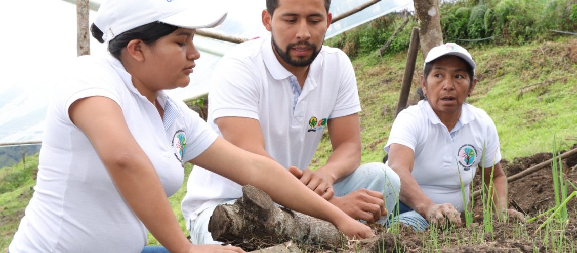 Mujeres campesinas del Huila conservan el territorio a través de huertas comunitarias