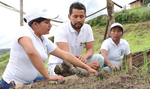 Mujeres campesinas del Huila conservan el territorio a través de huertas comunitarias