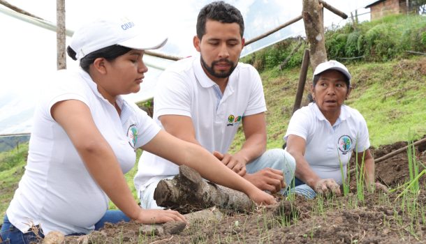 Mujeres campesinas del Huila conservan el territorio a través de huertas comunitarias