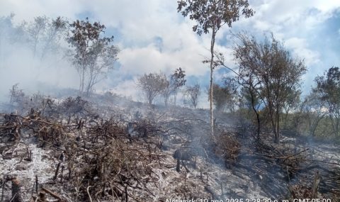 Autoridades de Gestión del Riesgo de Desastres, atienden emergencias en varios municipios del Huila