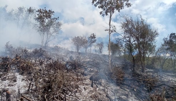 Autoridades de Gestión del Riesgo de Desastres, atienden emergencias en varios municipios del Huila