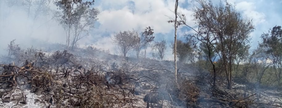 Autoridades de Gestión del Riesgo de Desastres, atienden emergencias en varios municipios del Huila