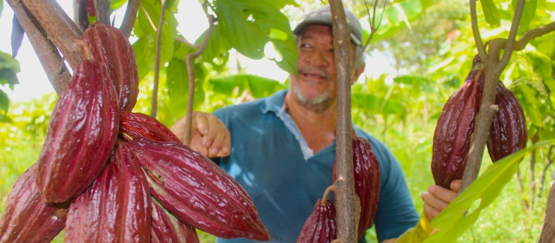 Ecopetrol protege la biodiversidad con 167 acuerdos voluntarios de conservación en el sur del país