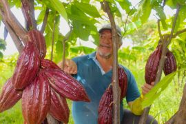 Ecopetrol protege la biodiversidad con 167 acuerdos voluntarios de conservación en el sur del país