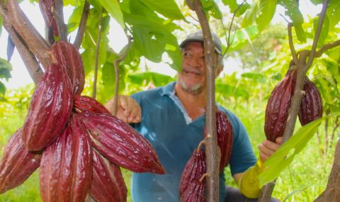 Ecopetrol protege la biodiversidad con 167 acuerdos voluntarios de conservación en el sur del país