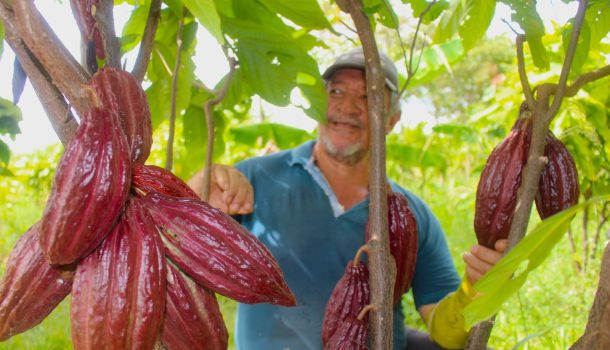 Ecopetrol protege la biodiversidad con 167 acuerdos voluntarios de conservación en el sur del país
