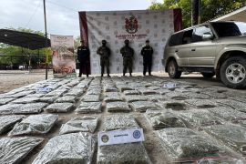 Ejército incautó cargamento de marihuana en el eje vial Neiva – Palermo