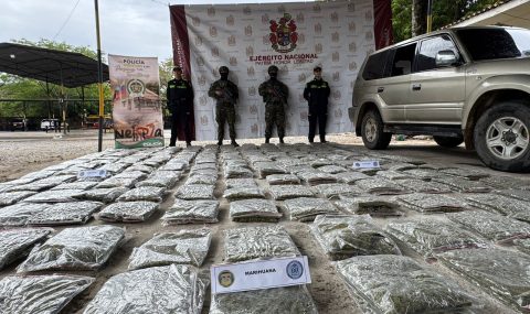 Ejército incautó cargamento de marihuana en el eje vial Neiva – Palermo