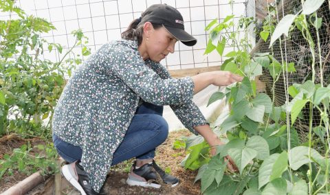 Escuelas de Campo fortalecen la conservación de la Serranía de Minas