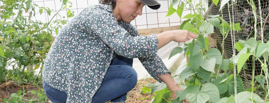 Escuelas de Campo fortalecen la conservación de la Serranía de Minas