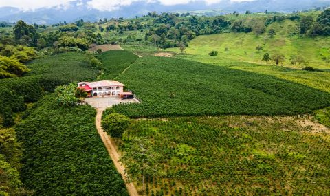 FICCA 2025 tendrá un espacio dedicado al turismo sostenible