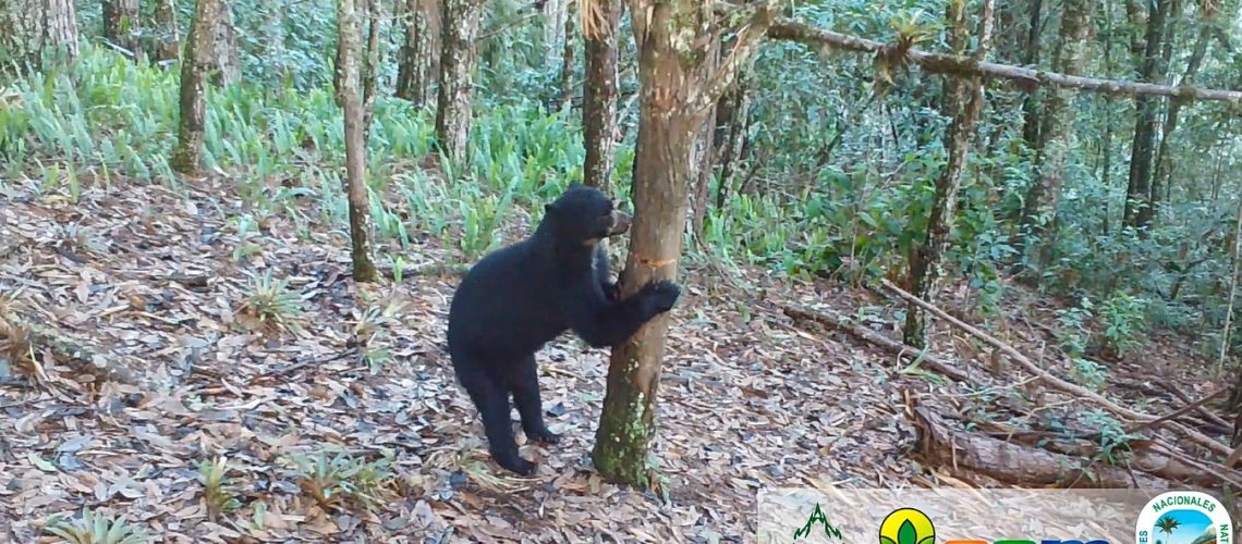 Huila, segundo departamento con más reservas naturales