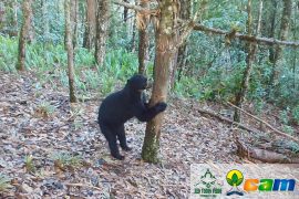 Huila, segundo departamento con más reservas naturales