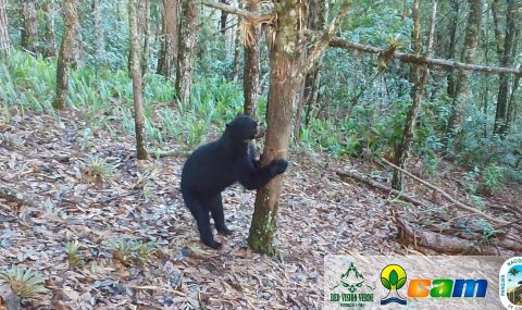 Huila, segundo departamento con más reservas naturales