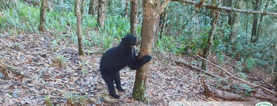 Huila, segundo departamento con más reservas naturales
