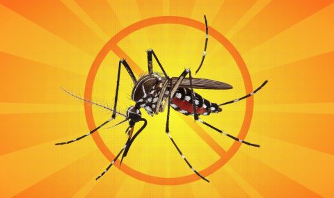 Adultos mayores y niños, la población más afectada por la fiebre amarilla en Colombia